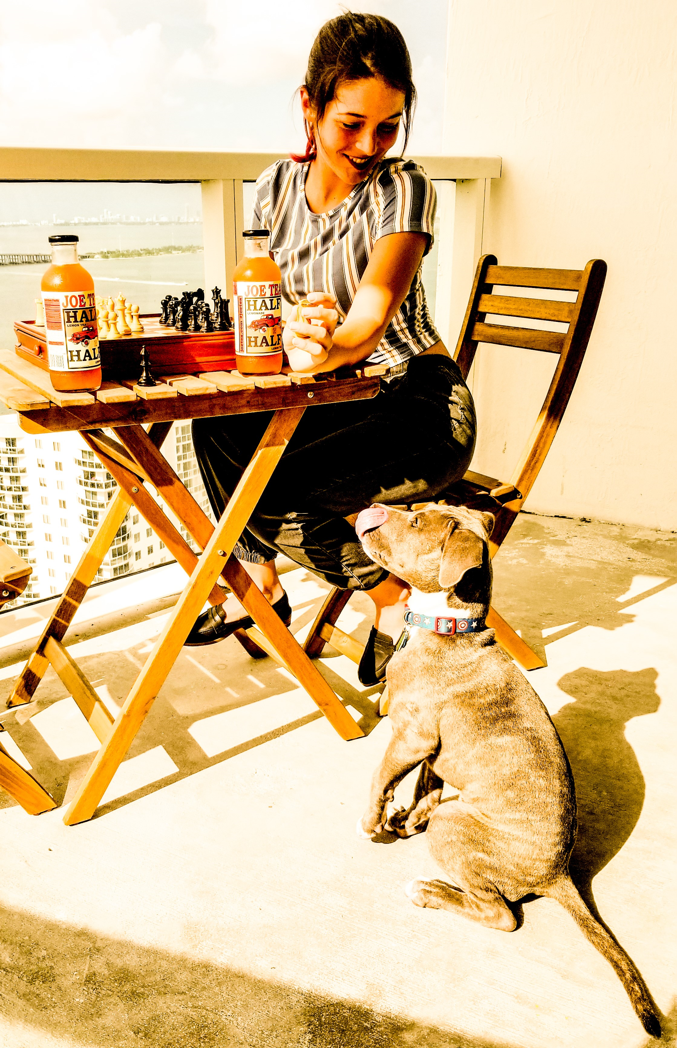 life style image of girl playing chess and a dog